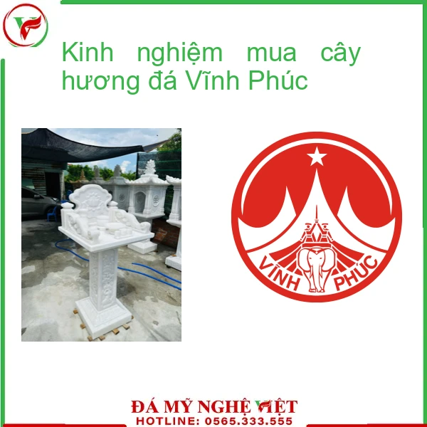 Kinh nghiệm mua cây hương đá Bình Định-5